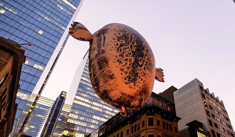 A harbour seal balloon above Toronto, from the Nuit Blanche programme